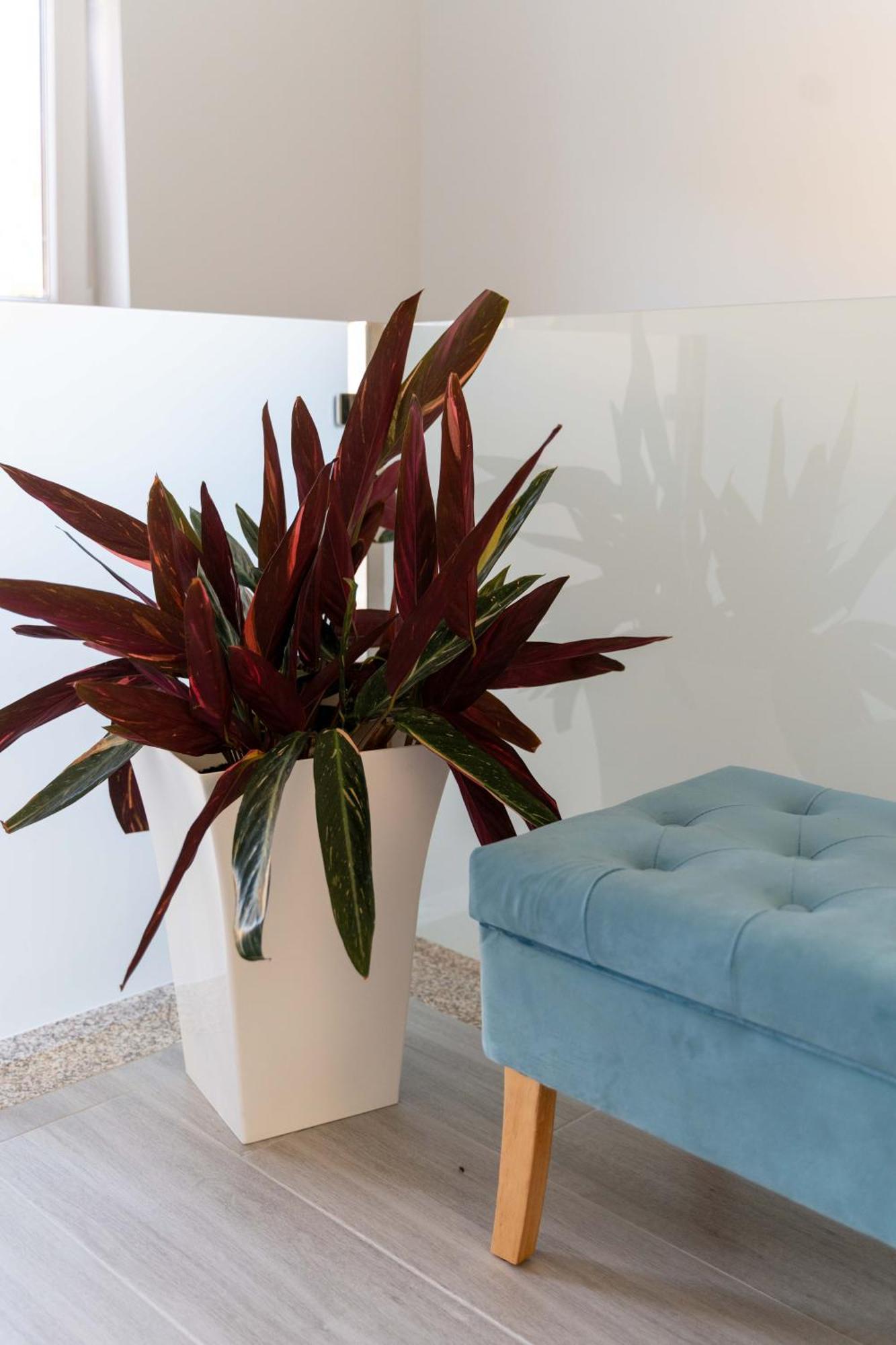 ואלנסה Guest House Taiao מראה חיצוני תמונה